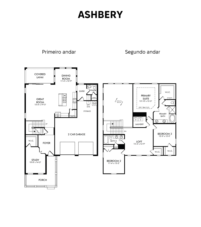 Planta-ashbery