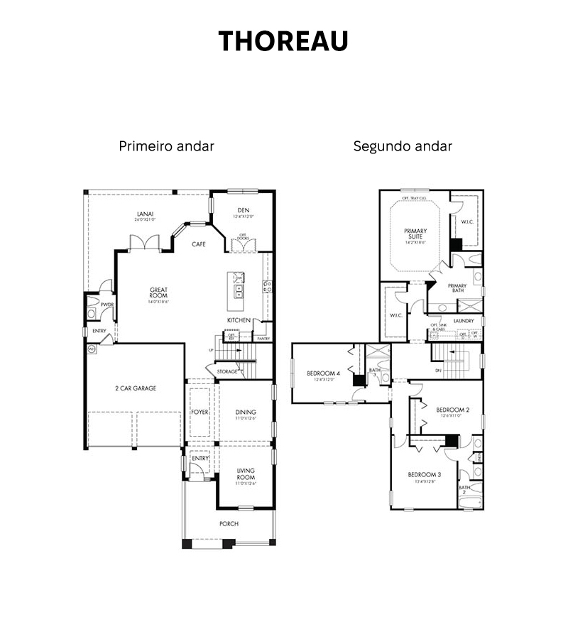 Planta-thoreau